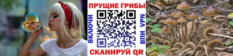 Галлюциногенные грибы ЛСД  хочу   Белёв 