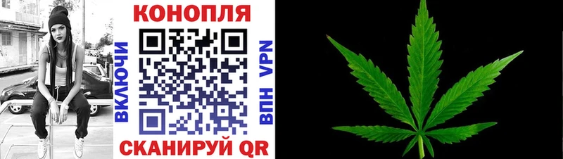 shop наркотические препараты  Белёв  Бошки Шишки гибрид 
